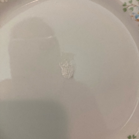 CX368 Fine China Salad Plates - Set of 4 - Picture 4 of 11